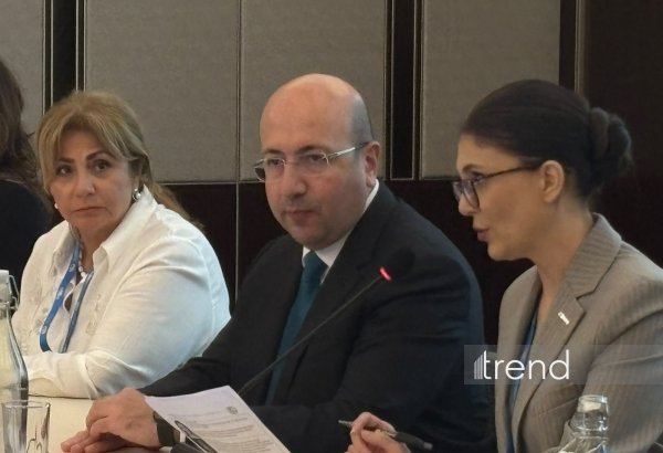 Azerbaijan official calls for local solutions to deliver climate goals