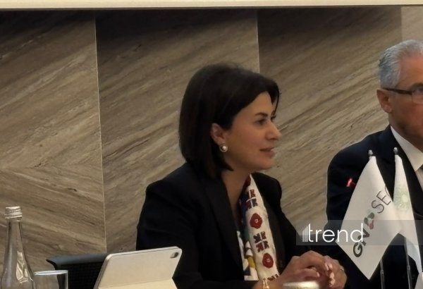 Regional cooperation contributes to interconnected “clean” energy systems — Aysel Yagubova