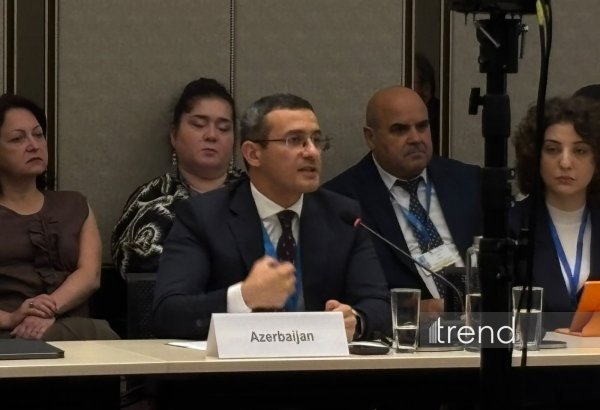Azerbaijan calls for international climate finance for cities, regions