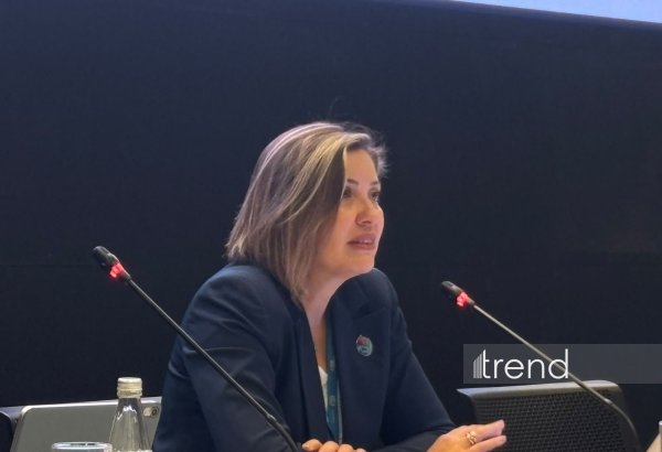 Turkish expert urges focus on building efficiency for climate goals