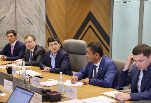 Uzbekistan, Germany explore joint projects in strategic minerals