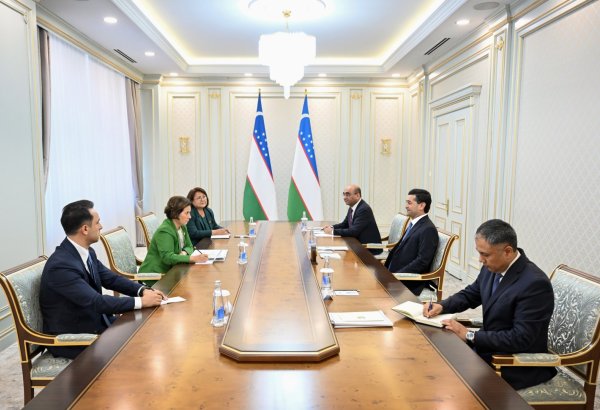 Uzbekistan, Türkiye debate strategic partnership and regional issues