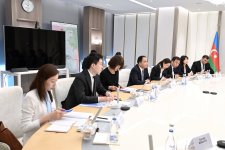 Azerbaijan, China discuss development of energy cooperation (PHOTO)