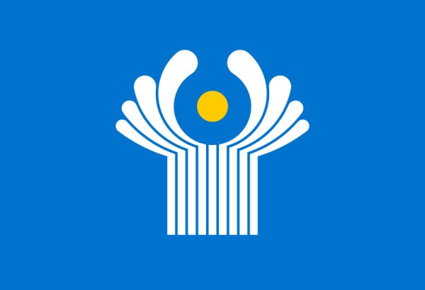 CIS Economic Council reviews regional standards and certification work