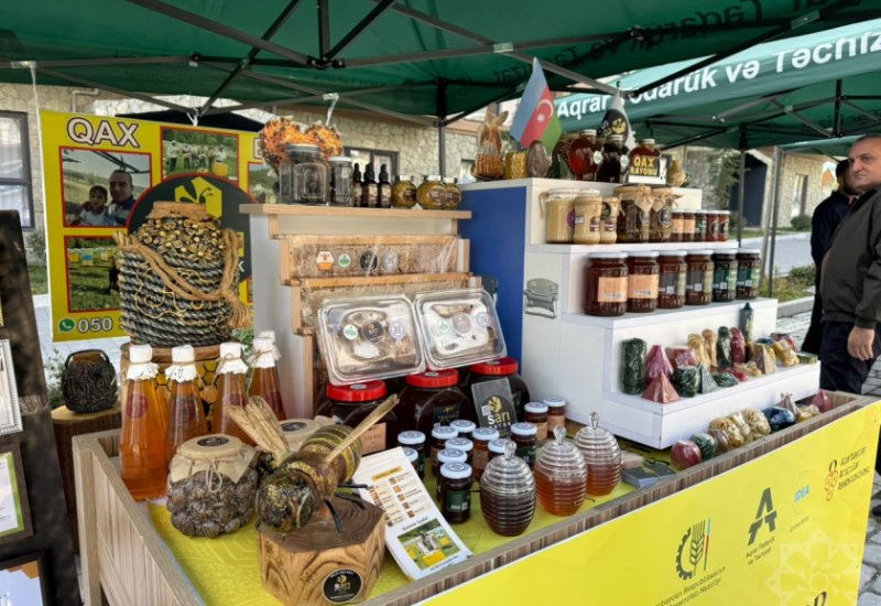 Another honey festival held in Azerbaijan's Kalbajar (PHOTO)