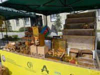 Another honey festival held in Azerbaijan's Kalbajar (PHOTO)