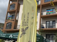 Another honey festival held in Azerbaijan's Kalbajar (PHOTO)