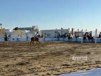 Azerbaijani representative reaches final of Sea Breeze 2026 Beach Polo tournament (PHOTO)
