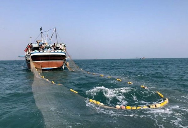 Iran reports fish and fishery product production