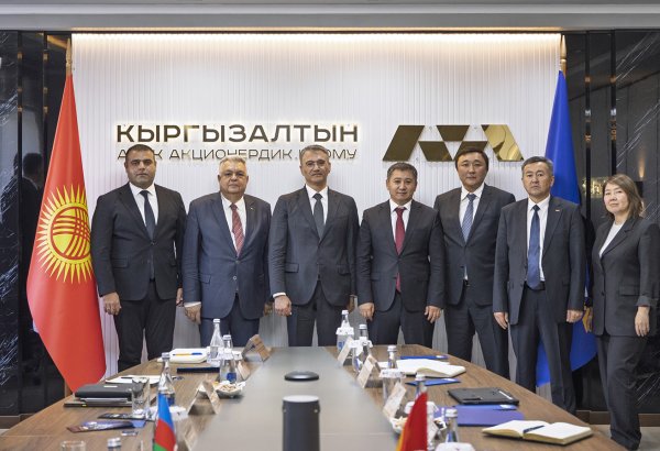 AzerGold and Kyrgyzaltyn discuss cooperation prospects in Bishkek (PHOTO)