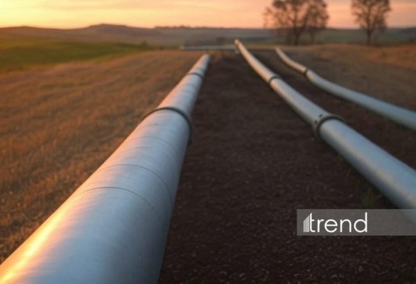 Rystad Energy details East-West oil pipeline shutdown impact on global oil market