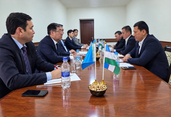 Uzbekistan, Kazakhstan move to streamline cross-border road transit
