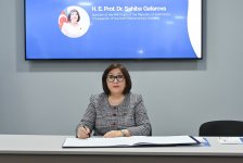 Azerbaijan’s parliament chief addresses NAM Youth Organization (PHOTO)