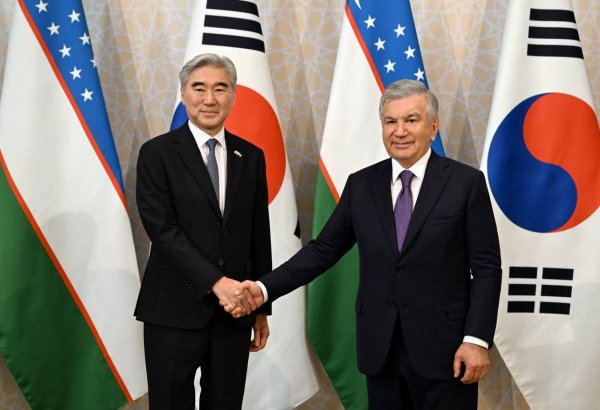 Uzbekistan, Hyundai Motor Group advance EV, rail expansion plans