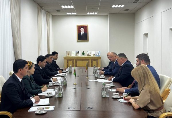 Turkmen-Moldovan inter-parliamentary friendship groups hold meeting