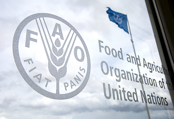 FAO, Turkmenistan sign cattle breeding development agreement