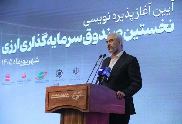 Iran's development plan prioritizes establishment of currency funds - minister