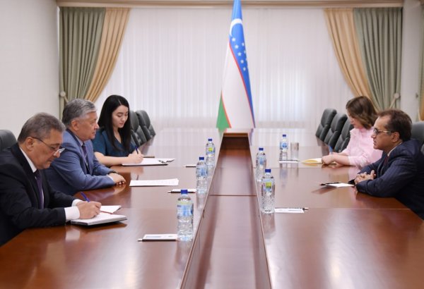 Uzbekistan, Pakistan review prospects for stronger bilateral ties