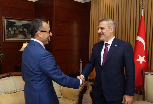 Türkiye and TURKPA discuss strengthening effective cooperation with OTS
