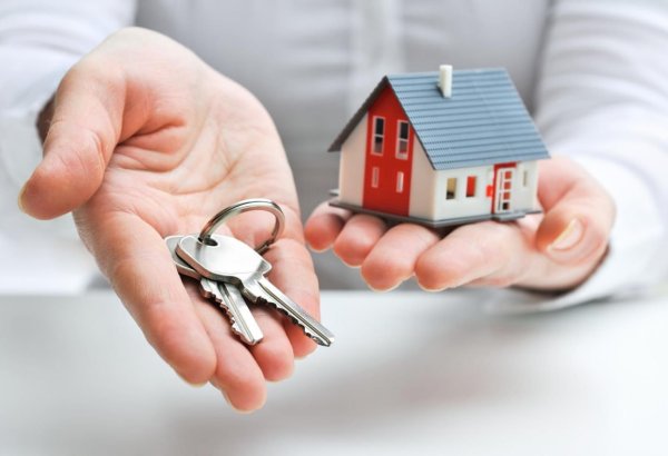 Trade and real estate account for 24% of Georgia's GDP