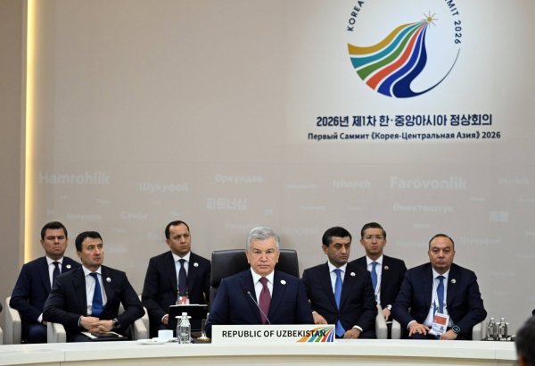 President Mirziyoyev proposes climate, human capital partnerships with Korea