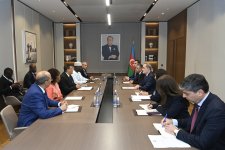 Azerbaijan FM holds talks with Pan-African Parliament Chief (PHOTO)