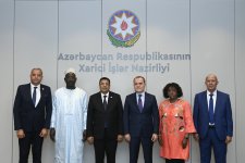 Azerbaijan FM holds talks with Pan-African Parliament Chief (PHOTO)