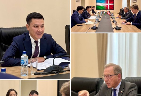 Uzbekistan, Denmark explore new trade and investment opportunities