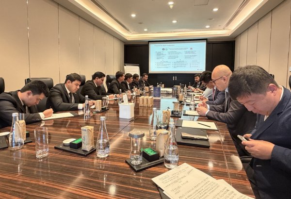 Huawei proposes digitalization of Turkmenistan's oil and gas sector