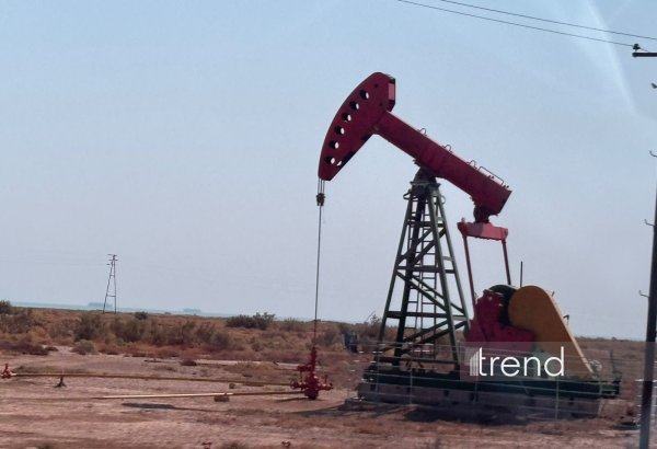 Tajikistan records 82.7% petroleum products production level in 7M2026