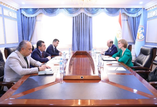 Tajikistan, U.S. discuss strengthening political and economic ties