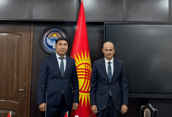 Kyrgyzstan and Iraq discuss development of international road transport