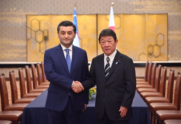 Uzbekistan, Japan deepen ties through "Central Asia + Japan" framework
