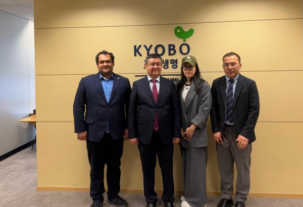 Uzbekistan, S.Korean KISED explore soft-landing program for startups