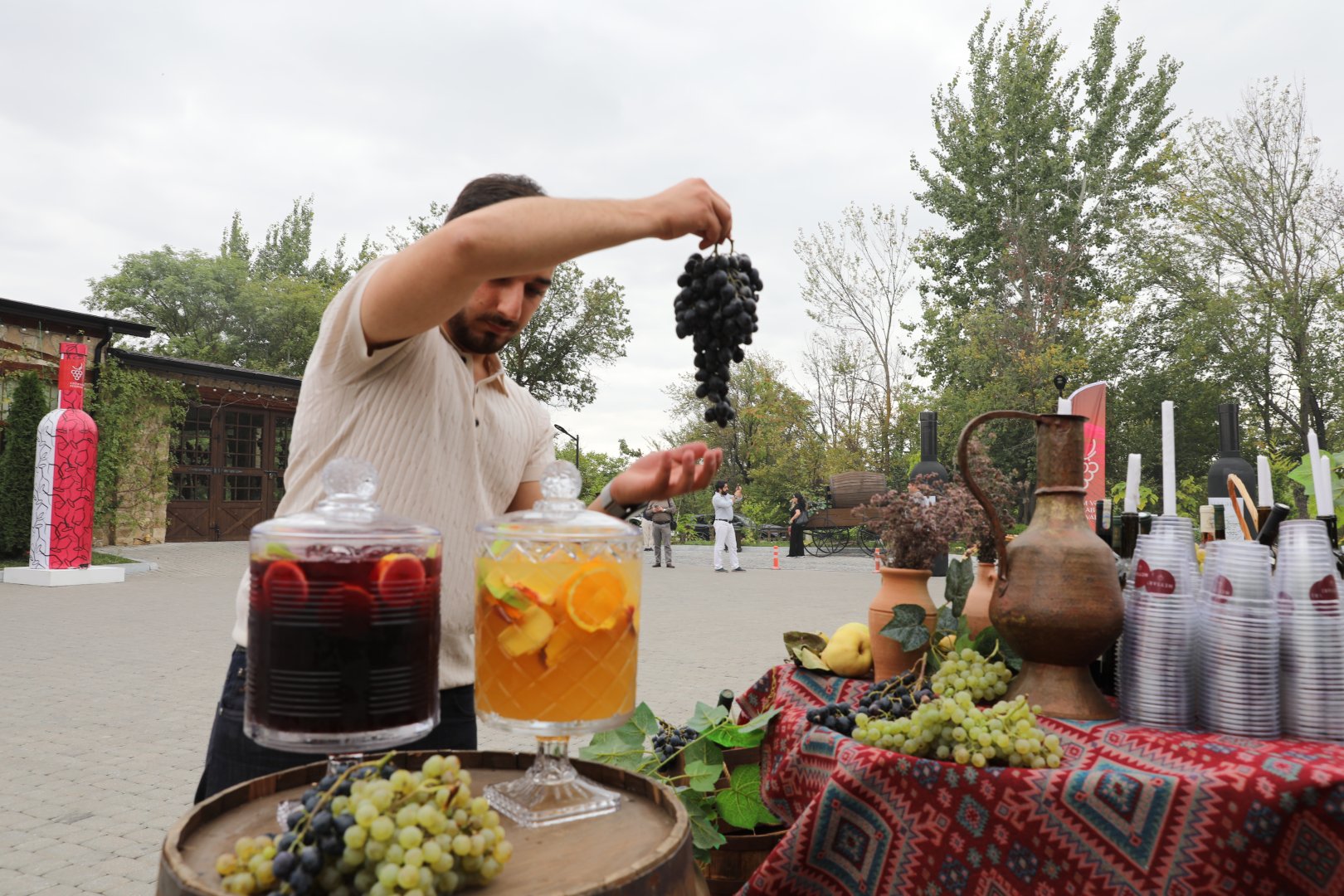 Grape and Wine Festival underway in Shamakhi (PHOTO)