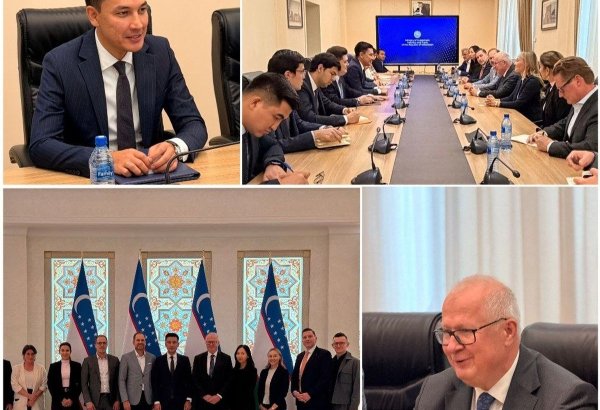 Uzbekistan, German and Austrian firms explore new investment projects