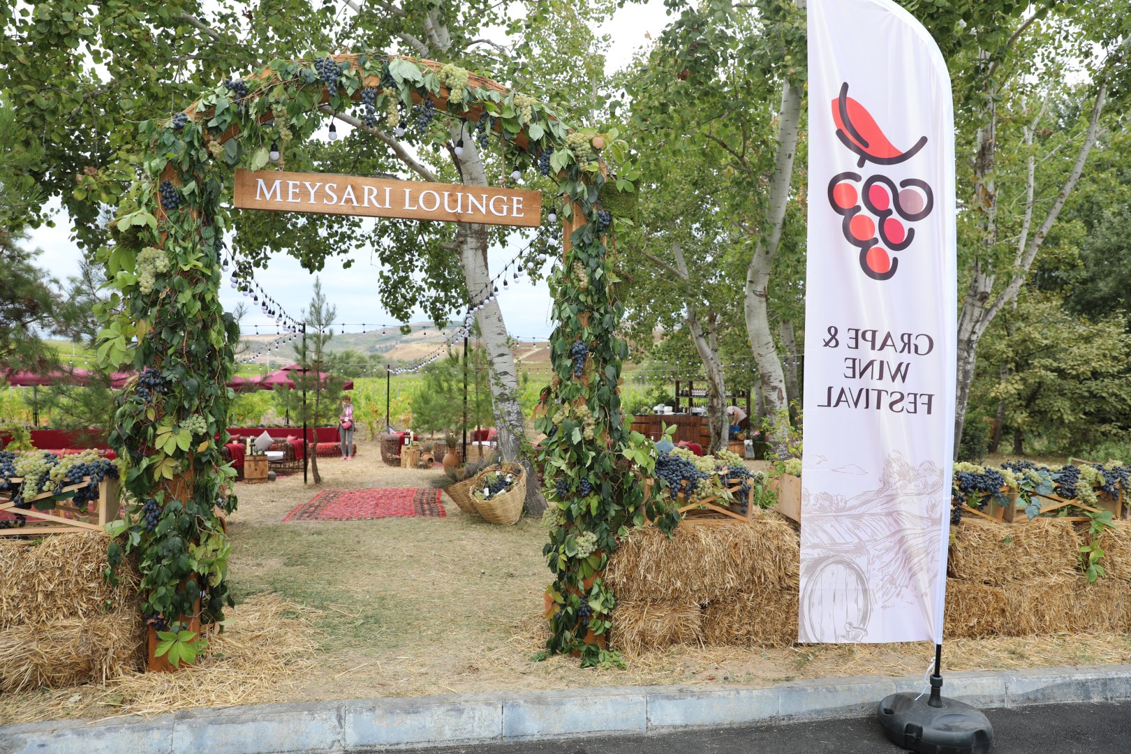Grape and Wine Festival underway in Shamakhi (PHOTO)