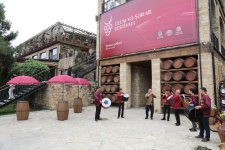 Grape and Wine Festival underway in Shamakhi (PHOTO)