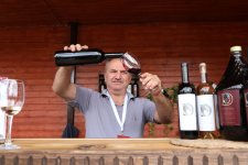 Grape and Wine Festival underway in Shamakhi (PHOTO)