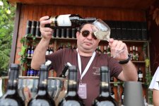 Grape and Wine Festival underway in Shamakhi (PHOTO)