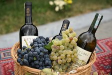 Opening ceremony of Grape and Wine Festival held in Shamakhi (PHOTO)