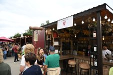 Opening ceremony of Grape and Wine Festival held in Shamakhi (PHOTO)