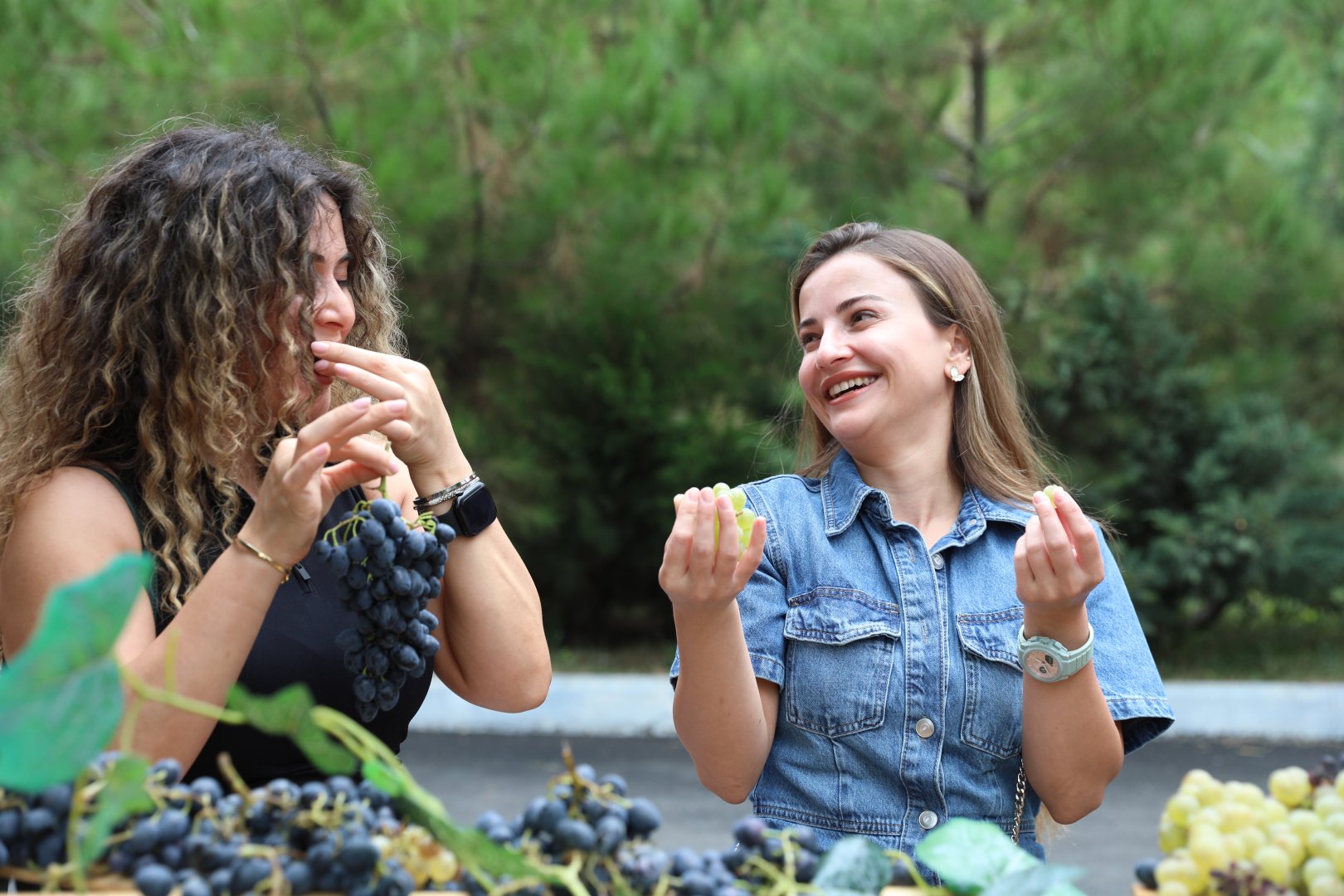 Opening ceremony of Grape and Wine Festival held in Shamakhi (PHOTO)