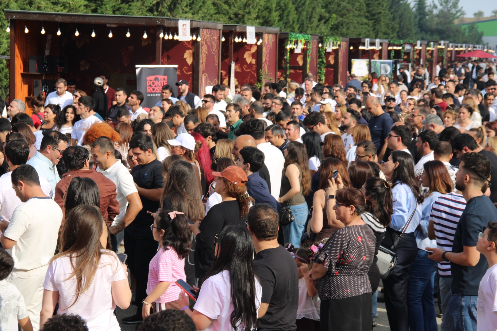Grapes, wine and music — this is how festival in Azerbaijan's Shamakhi concludes (PHOTO)