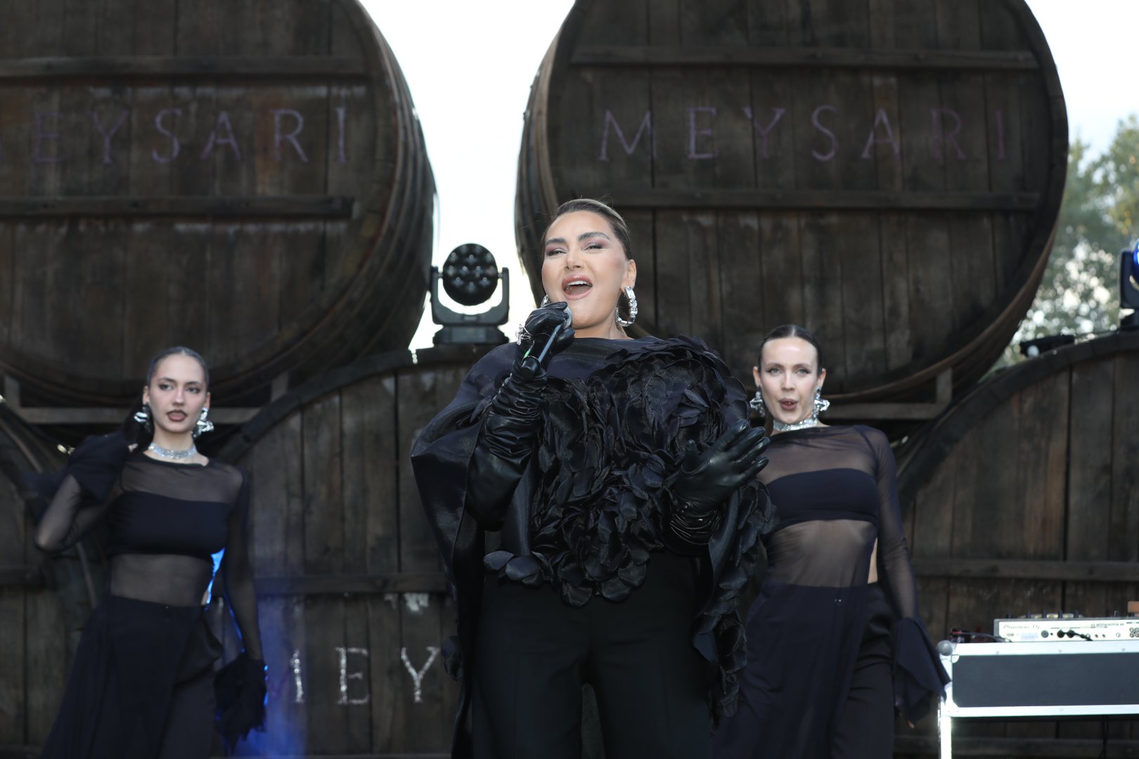 Grapes, wine and music — this is how festival in Azerbaijan's Shamakhi concludes (PHOTO)