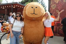 Grapes, wine and music — this is how festival in Azerbaijan's Shamakhi concludes (PHOTO)