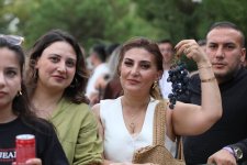 Grapes, wine and music — this is how festival in Azerbaijan's Shamakhi concludes (PHOTO)