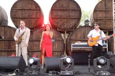 Grapes, wine and music — this is how festival in Azerbaijan's Shamakhi concludes (PHOTO)