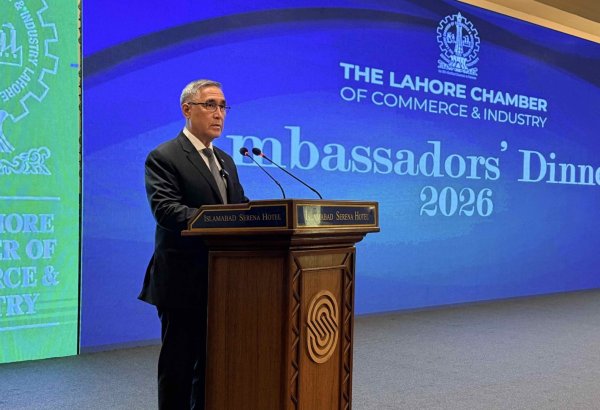 TAPI gas supplies to Pakistan expected in 2027 – Turkmen envoy