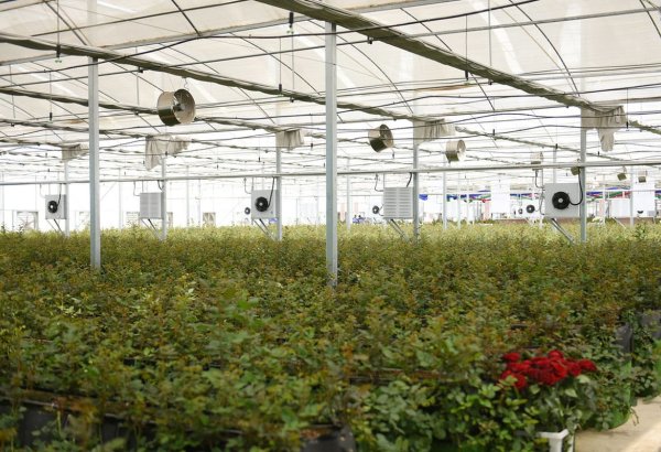 Turkish fertiliser prices fall 3.2% in July after leading annual gains